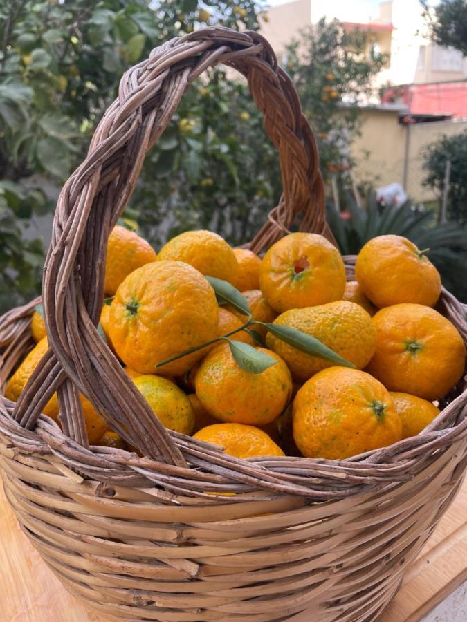 Tangerine Tree House Apartment Cagliari Ngoại thất bức ảnh