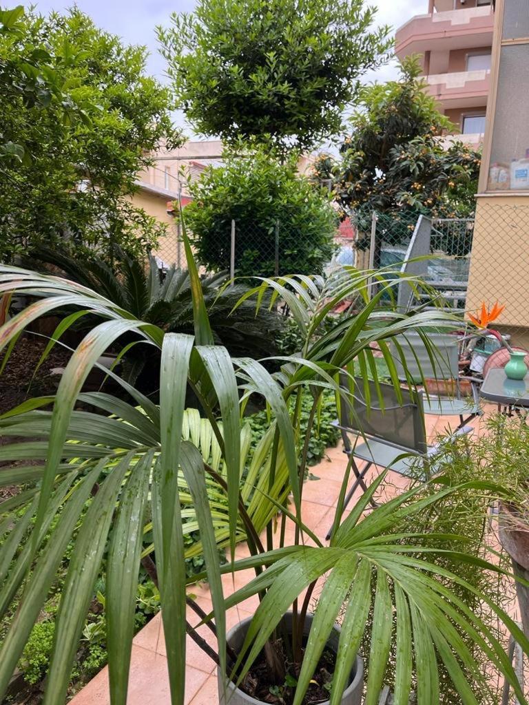 Tangerine Tree House Apartment Cagliari Ngoại thất bức ảnh